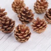 cônes de pin naturel, 10 pièces, pour arbre de noël, guirlande décorative, aiguilles de pin en coton, bricolage, décoration de maison