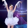 robe de danse latine à franges et paillettes pour filles, salsa cha cha samba tango, robes de danse de salle de bal pour enfants, frange professionnelle
