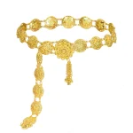 Ceinture de robe pour femme, ceinture pour femme, mode, mignon, franges dorées, été, plage, taille, environnement en métal, nouvelle collection
