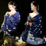 Robe Kimono Traditionnelle Japonaise pour Femme, Tenue de Soirée, Vêtements Cosplay, Tenue de Photographie