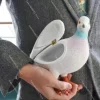pochette pigeon créative et amusante, sac décontracté assorti avec tout, ornements de décoration pour la maison
