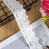 tissu en dentelle pour vêtements féminins, dentelle brodée, blanc, beige, creux, garniture en dentelle, bricolage, luxe, 3 mètres