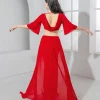 costume de danse du ventre scintillant, tenue de spectacle sur scène de danseuse orientale, haut en gaze à manches longues, jupe fendue sur le côté, spectacle en studio rouge