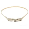 ceinture en métal cuir chevelu doré argenté pour femme, ceinture de printemps, joint de taille élastique, robe