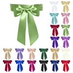 Ceinture large en satin pour femme, longue et soyeuse, ceinture polyvalente, artefact de serrage de la taille, accessoires de cosplay, 1 paire