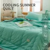 2025 nouveau japonais polyester coton matelassé été couette respectueux de la peau lavable léger style de luxe couleur unie léger