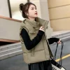 gilet à capuche matelassé solide pour femme, Élégant, style coréen, observateur, rembourré, jeune, nouvelle collection automne