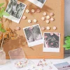 20 pièces/boîte portable créatif fleur punaises fleur mur punaises 3d conseil mignon punaises pour bricolage photo mur affiche déco