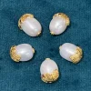 Perles naturelles en vrac, polyvalentes pour pendentif ou brin, fabrication de bijoux, choix cadeau parfait pour les amateurs de bricolage