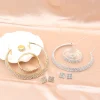 ensemble de bijoux de mariée, collier, bracelets, bague, boucles d'oreilles, super magnifique, luxe, brillant, à la mode, cadeau de fête, 4 pièces/ensemble