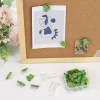 30 pièces/boîte punaises en bois mignon feuille de palmier punaise cactus punaises décoratives pour panneau de liège photos cartes murales