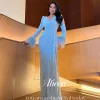 aileen robes de festa dubaï robes de soirée de luxe 2025 manches longues plume فساتmaverapersonnalisé Élégant robes de bal sexy