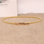 Ceinture de jupe décorative pour femmes, ceinture de taille en métal pour robe, ceinture de mode, ceinture élastique en chaîne en métal