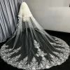 Voile de Mariage à Deux Couches avec Peigne, Couverture du Visage, 3m, Bord en Dentelle Blanche, pour Patients, Ivoire Appliqué, pour Cathédrale
