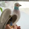 pochette pigeon créative et amusante, sac décontracté assorti avec tout, ornements de décoration pour la maison