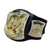 wwe champion de boxe ceinture dorée wwe championship ceinture personnages occupation wrestling gladiateurs ceinture cosplay jouets halloween cadeau