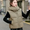 gilet à capuche matelassé solide pour femme, Élégant, style coréen, observateur, rembourré, jeune, nouvelle collection automne
