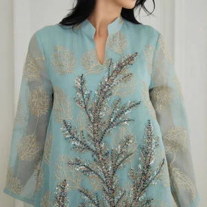 Robe Abaya musulmane brodée à paillettes pour femmes, élégante, grande taille, mode pour mariages européens et américains, robes de soirée