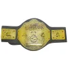wwe champion de boxe ceinture dorée wwe championship ceinture personnages occupation wrestling gladiateurs ceinture cosplay jouets halloween cadeau