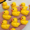 les adorables aimants de canard jaune originaux sont ici! forte magnétisme et haute apparence, peut être collé sur le réfrigérateur/tableau blanc