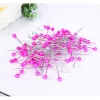 Épingles de couture rondes, 800 pièces, mélange de couleurs, perles, tête ronde, fleuristes, épingles de couture, bricolage, broche de positionnement, décor de bouquet de mariage