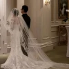 voile de mariage en dentelle de luxe à deux couches, accessoires de mariage avec peigne, fard à joues pour les patients