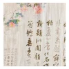 jingzhou impression de calligraphie et embaude robe, trois beiges possèdent un motif de champ, un motif de pulvérisation directe, un tissu de créateur