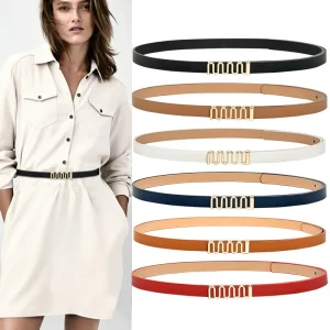 Ceinture Vintage de Haute Qualité pour Femme, Fine, Environnement, Serrure Dorée, Robe Jean, Pull, Nouvelle Mode