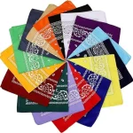 Bohème imprimé Bandana Paisley motif bandeaux Hiphop foulard extérieur unisexe bandeau poignet enveloppes masque facial mouchoir