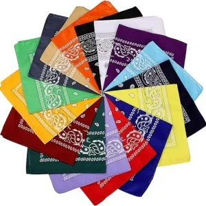 Bohème imprimé Bandana Paisley motif bandeaux Hiphop foulard extérieur unisexe bandeau poignet enveloppes masque facial mouchoir