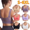 soutien gorge de sport respirant haut fitness femmes brassière amovible rembourré soutien gorge de sport course gymnase sans couture push up soutiens gorge
