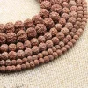 Perles Mala Rudraksha naturelles, 108 pièces, 6, 8, 10, 12 mm, prière bouddhiste pour Bracelet, collier, pratique de la méditation, fabrication de bijoux à faire soi-même