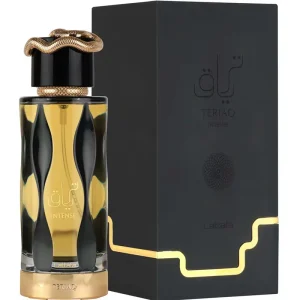 Flirting EDT parfum bois de santal Orange AromaVanilla parfum pour cadeau et rendez-vous Oriental assez longue durée Premium parfum homme