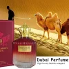 parfums arabes originaux, 100ml, prince de dubaï, cologne, longue durée, parfum léger, désert frais, parfum de haute qualité, arabie