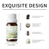 huile de romarin d'huile de musc blanc 10ml, plante naturelle, aromathérapie fraîche pour diffuseur de massage, désodorisant, aromathérapie de voiture, cadeaux