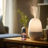 huiles essentielles pour diffuseur d'arôme, humidificateur d'air, soluble dans l'eau, lavande, désodorisants pour voiture, recharge de parfum, 10ml
