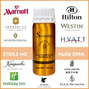 Huile essentielle d&rsquo;hôtel Oriental Vienne 100ml, extrait de plante Pure, parfum d&rsquo;hôtel, désodorisant pour diffuseur d&rsquo;arôme d&rsquo;hôtel