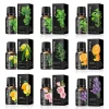 château essentiel pour bricolage, bougie parfumée, huile de sexuellement essence de regina, recharge de sexuellement, diffuseur d'arôme, huile essentielle de plante naturelle, 10ml