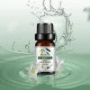 huiles essentielles de lavande et de jasmin, parfum pour bricolage, bougie parfumée, savon, désodorisant de voiture, 10ml