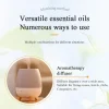 huile essentielle végétale naturelle pour voiture, 10ml, pour désodorisant, diffuseur, humidificateur, recharge de parfum, arôme pour accessoires automobiles