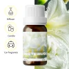 Huile de romarin d&rsquo;huile de musc blanc 10ml, plante naturelle, aromathérapie fraîche pour diffuseur de Massage, désodorisant, aromathérapie de voiture, cadeaux