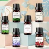 19 saveurs huiles essentielles pour diffuseur d&rsquo;arôme humidificateur d&rsquo;air maison soluble dans l&rsquo;eau 10ml désodorisant parfums huile de parfum parfum
