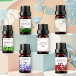 19 saveurs huiles essentielles pour diffuseur d&rsquo;arôme humidificateur d&rsquo;air maison soluble dans l&rsquo;eau 10ml désodorisant parfums huile de parfum parfum