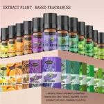 Parfum de voiture aromathérapie plante huile essentielle parfum huile désodorisant pour diffuseur d&rsquo;arôme humidificateur d&rsquo;air huile de parfum pour la maison