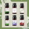 19 saveurs huiles essentielles pour diffuseur d'arôme humidificateur d'air maison soluble dans l'eau 10ml désodorisant parfums huile de parfum parfum