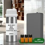 Huiles essentielles d&rsquo;huile de parfum d&rsquo;hôtel de 100ML pour le diffuseur désodorisant dispositif de parfum purificateur d&rsquo;air humidificateur huile essentielle de voiture