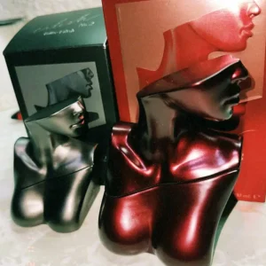 Parfum arabe de dubaï, parfum Unique fait à la main, parfum longue durée pour les déplacements quotidiens, parfums arabes originaux, 100ml