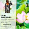 huile essentielle de lotus naturelle de qualité supérieure, soins pour la peau organiques, pression relaxante, purification du sommeil profond, méditation, parfum pour la maison