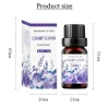 19 saveurs huiles essentielles pour diffuseur d'arôme humidificateur d'air maison soluble dans l'eau 10ml désodorisant parfums huile de parfum parfum