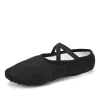 chaussures de ballet pour filles, pantoufles de ballet pour enfants et femmes, chaussures plates d'entraînement pour enfants, chaussures de danse à semelle souple, chaussures d'entraînement en toile